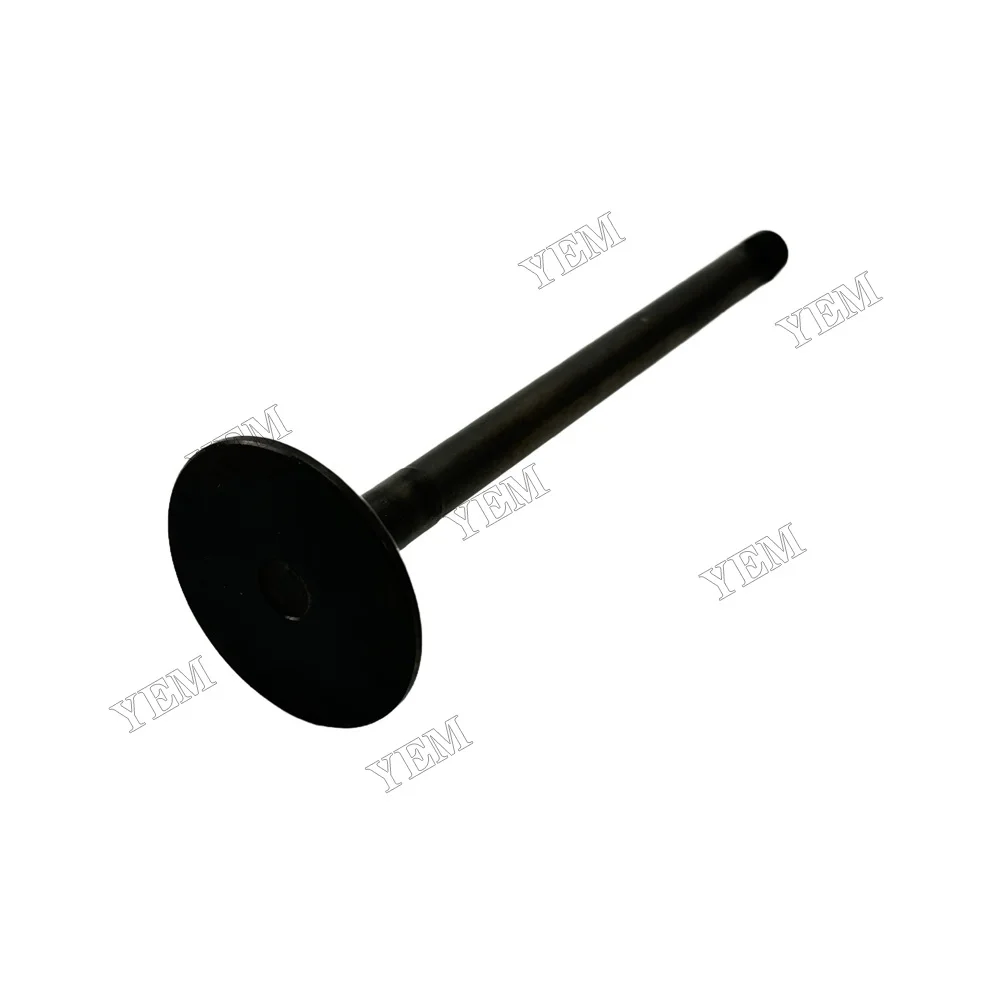 Exhaust Valve Fit for Hino H07C Engine 6