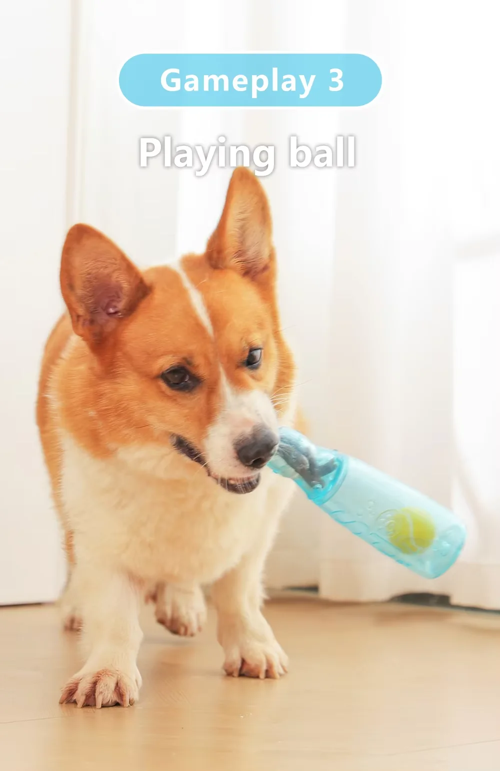 Dog Toy Pet Voice Bottle Dog Boredom Toy Tennis Wine Bottle Licking Interactive Toy Net Red Soda Bottle
