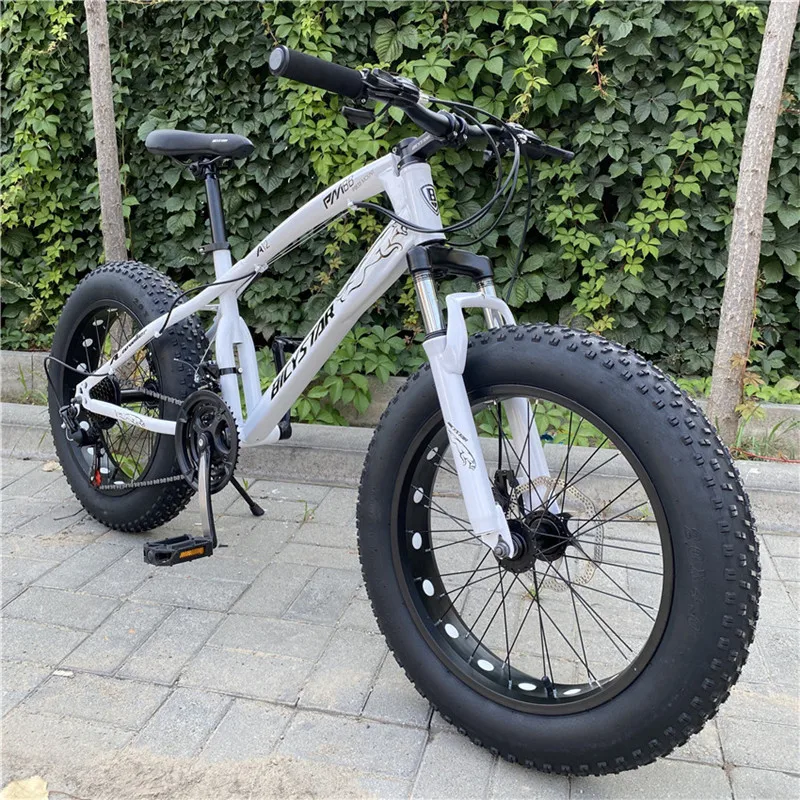 Folding Cycle Cycle Of Big Tyre Big Fat Type Fat Tyre Cycle Under