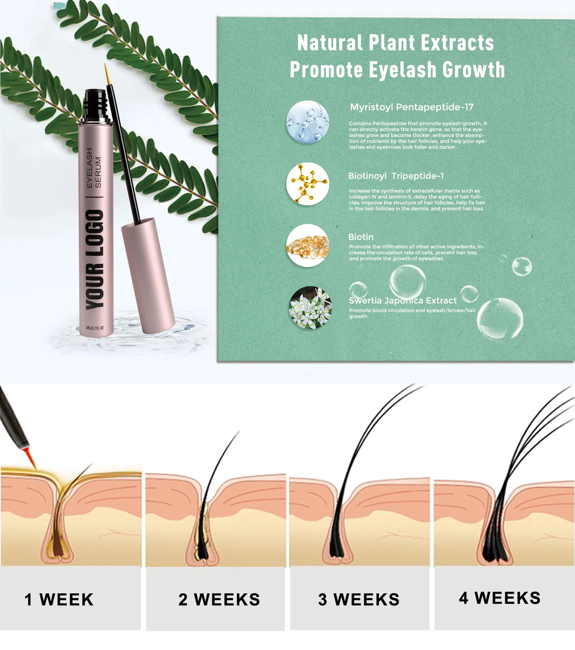 Eyelash Growth Serum - Natural, Nutritious, and Customizable