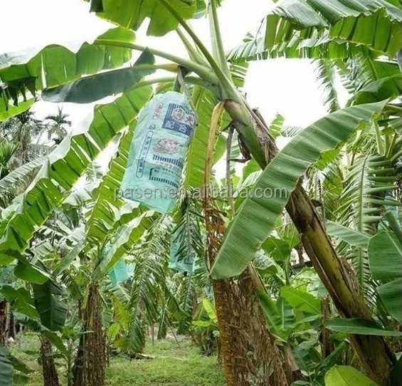 Banana Tree Crusher Machine Banana Tree Pole Crushing Machine Banana Tree Chopping Machine