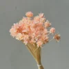 Pêche rose