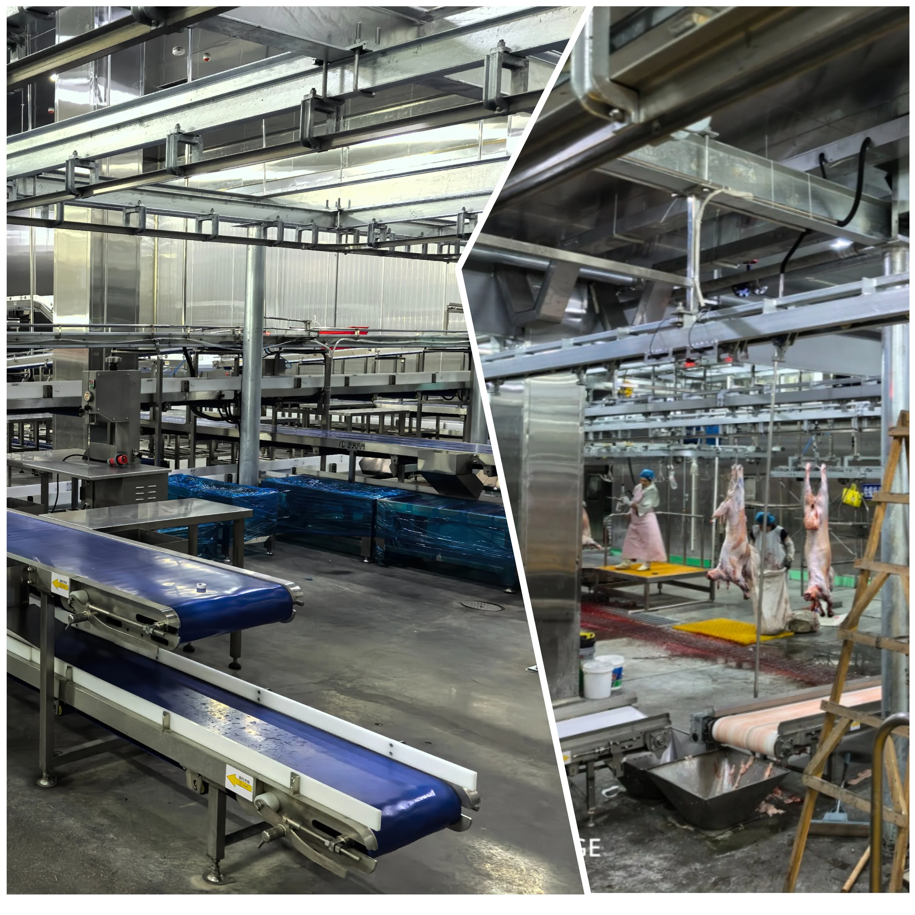 Automatic Halal Sheep Slaughtering Line Complete Goat Abattoir Machine Industrial Sheep Hair RemoveMachine for Meat Plant