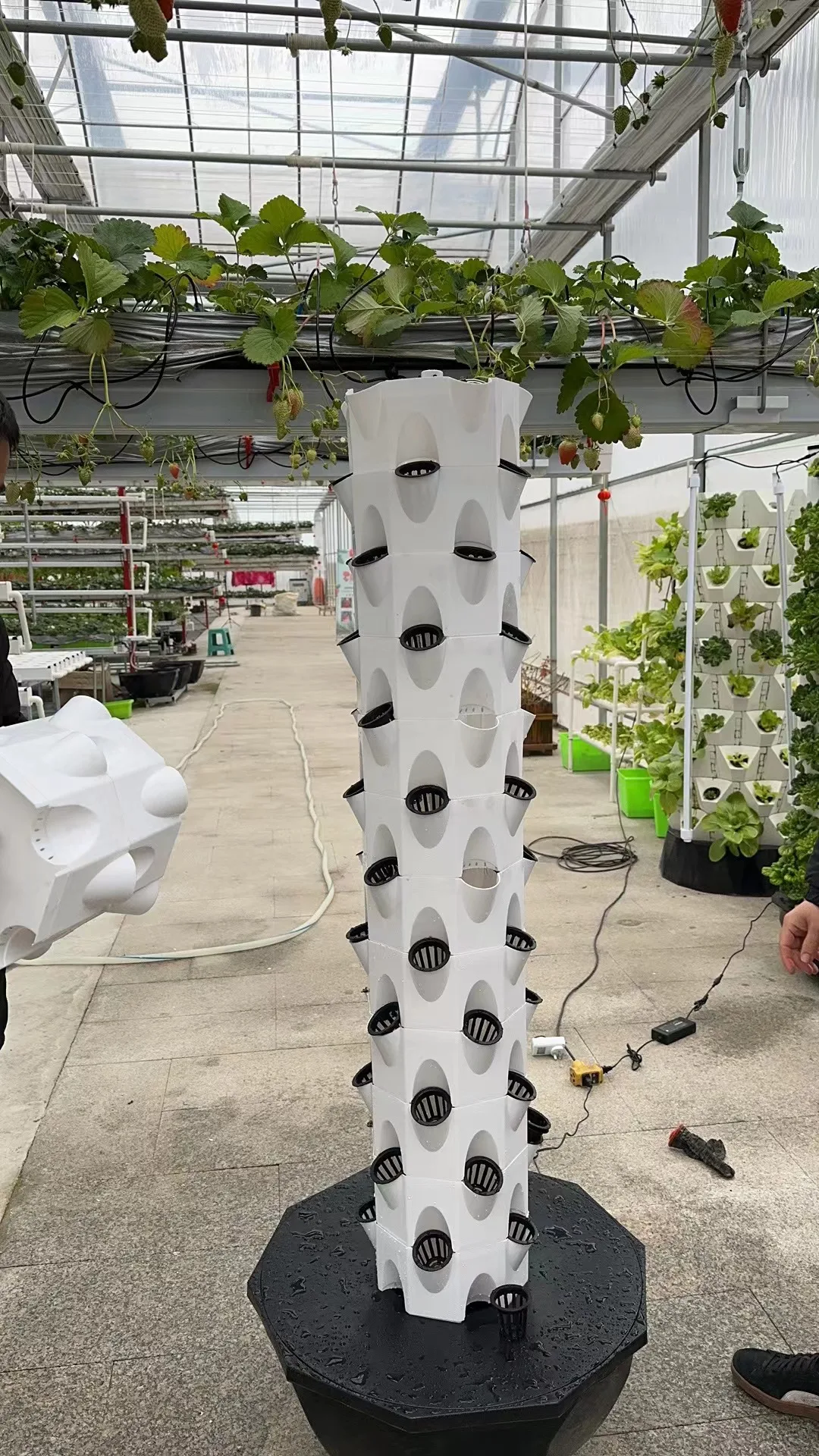 Clone Machine 96 Site, Aeroponic Cloning System Using 2 in Neoprene Insert Clone Machine 96 Site, Aeroponic Cloning System Using 2 in Neoprene Insert