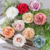การ์ดสี