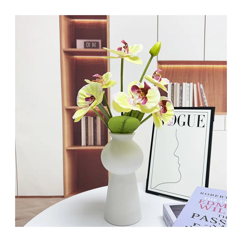 Verander Jou Ruimte Met Miniature Valse Groen Plante