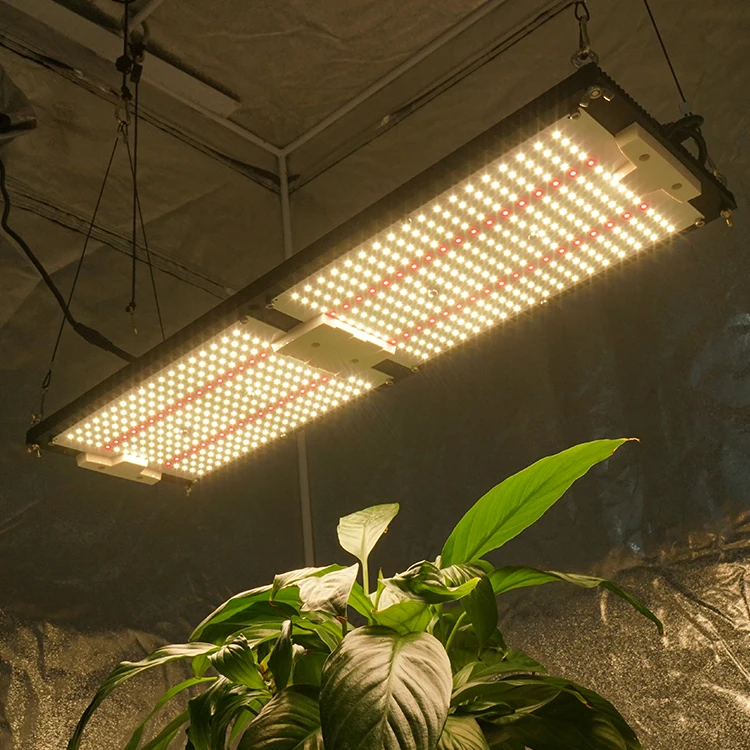 Kingbrite 240W Samsung lm301h 288 v3 QB board led horticulture grow lights