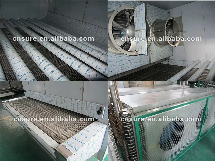 Equipment Quick Tunnel Freezer, IQF, 380v - detail 8