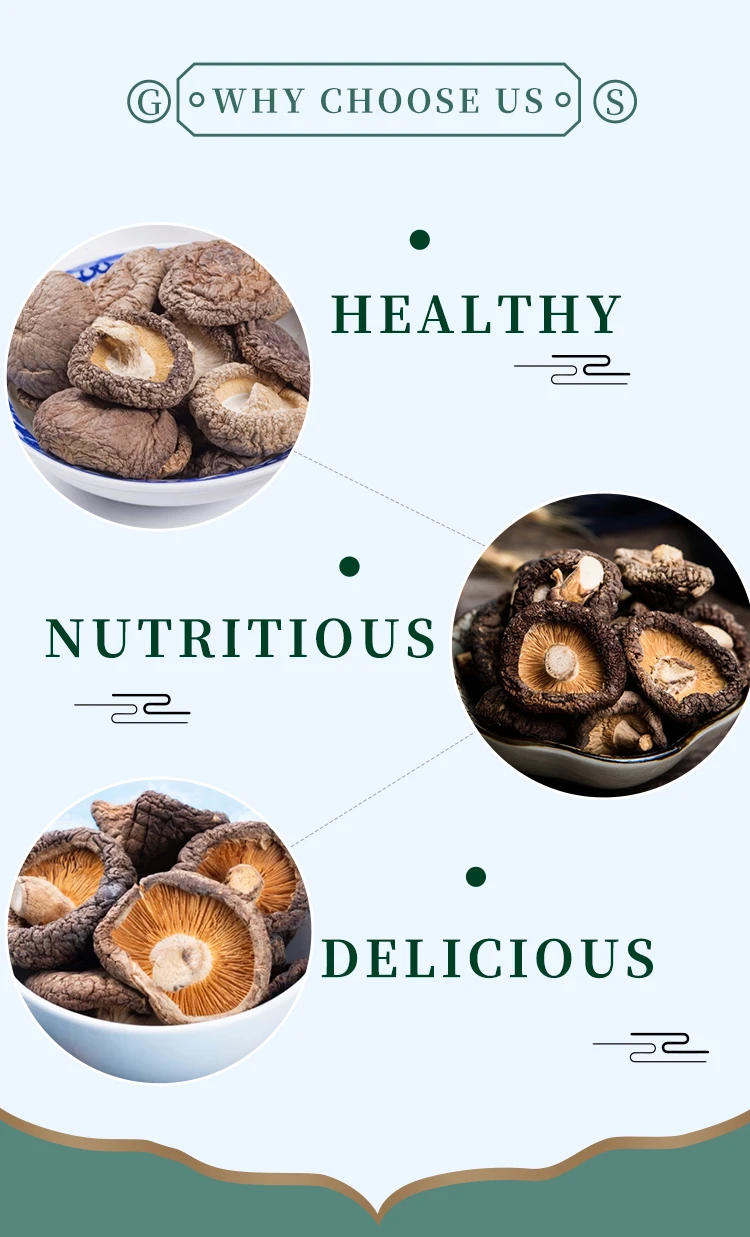 Bulk Crop Yama Kurage And Shiitake Dried Log White Flower Shiitake Mushroom Flower Mushroom For