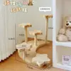 Soporte de exhibición de estrellas [cinco estándar] de madera