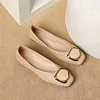 kaki