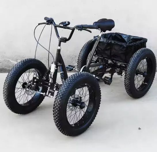 Fat Tire Off Road Wheel Bike Fat Tire Adult Electric Trike