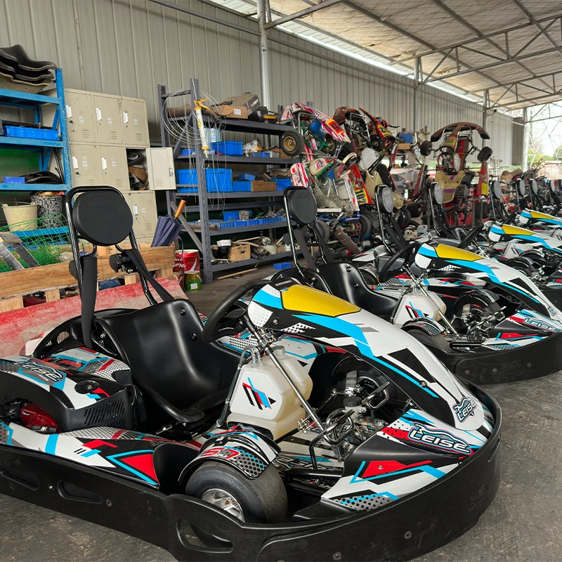 TS7 Rental Kart With GX200CC Adjustable seat and pedals| Alibaba.com