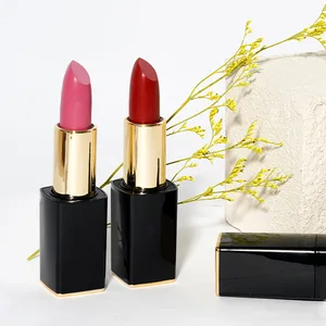 Beauty Lipstick Set Creamy Wholesale Pencil Lipstick Raw Materials Premium Chinese Waterproof