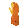 Yellow / Orange