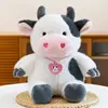 Cute cow