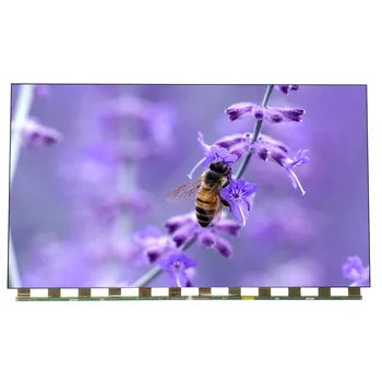 AUO 55 inch TV screen replacement 3840 x 2160 UHD high brightness LCD display panel Open Cell T550QVN10.0