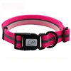 reflective pink