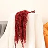 Rosso vino, lunghezza orecchie: 50-80 cm