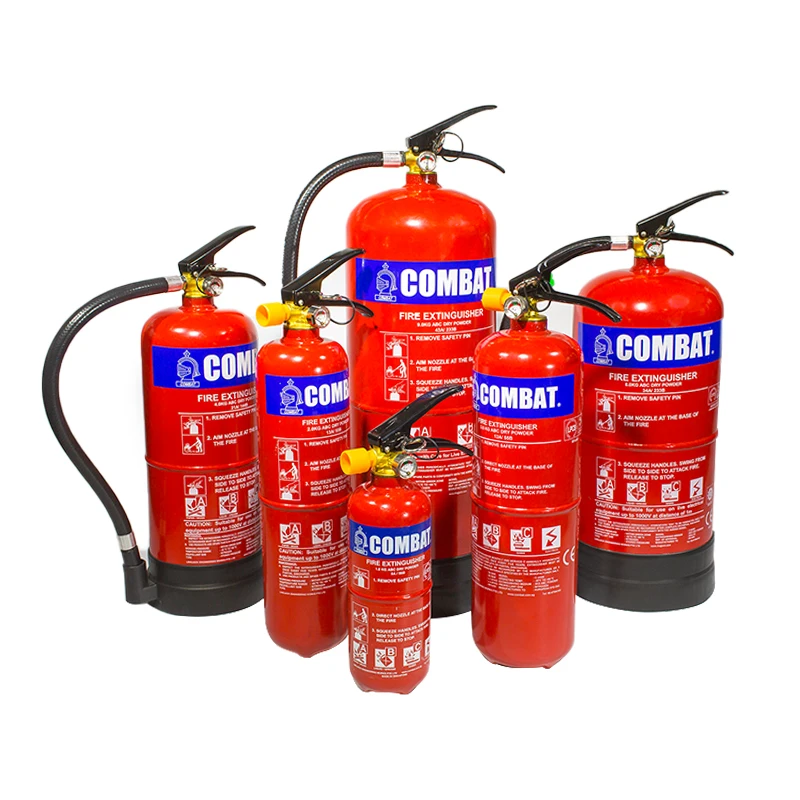 Hot Sale Low Price Portable Dry Powder Car Fire Extinguisher 4kg Rescue