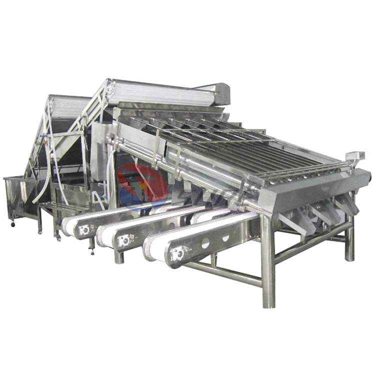 Grading Machine Grader Price Live Fish Grader