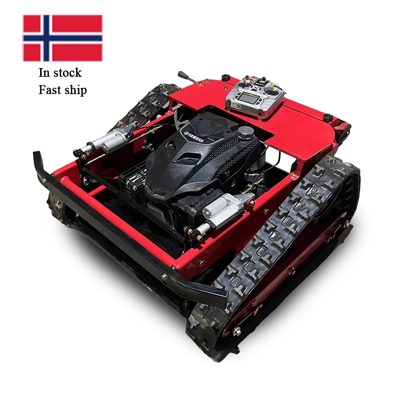 EU Japan Malaysia Remote Control Grass Cutter Lawn Mower Gasoline for Sale