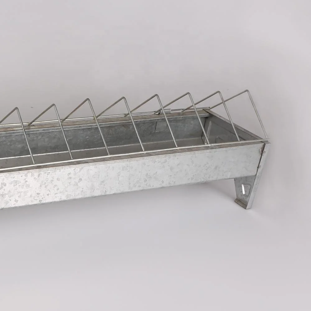 Free Sample Chicken Feeder Metal BSCI Certificate Poultry Farm Equipment Galvanized Metal Chicken Poultry Feeders and Drinkers