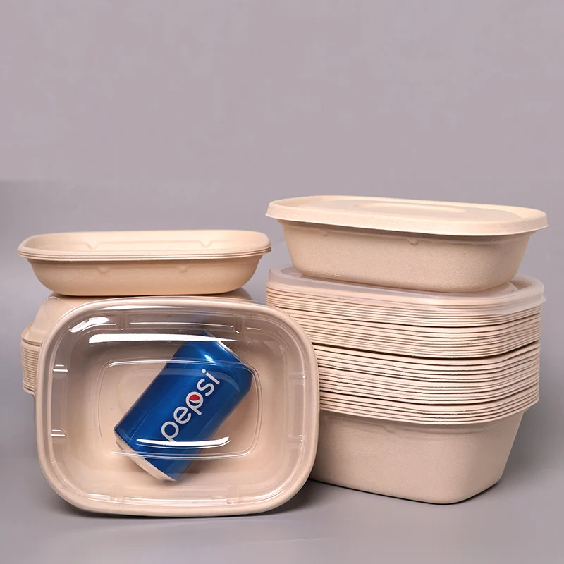 1300ml Biodegradable Sugarcane Paper Lunch Box Lunch Box For Hot And