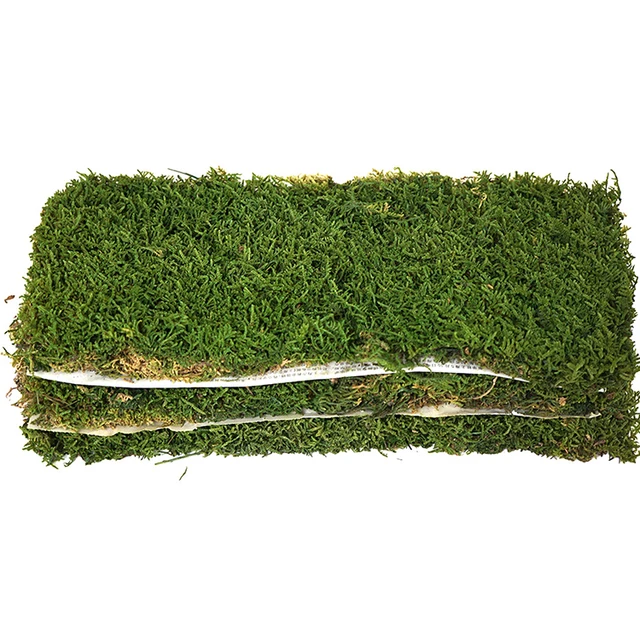 Hypnum Plumaeforme Moss piece no sticker wall panel 0.2 square meters real moss floor board preserved moss