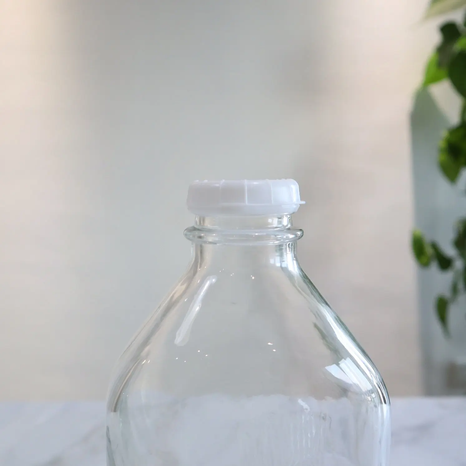 16 oz Clear Glass Short Milk Bottles