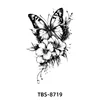 TBS8719