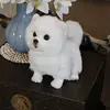 Poméranie soie dog_28 * 13*24cm