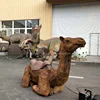 camello