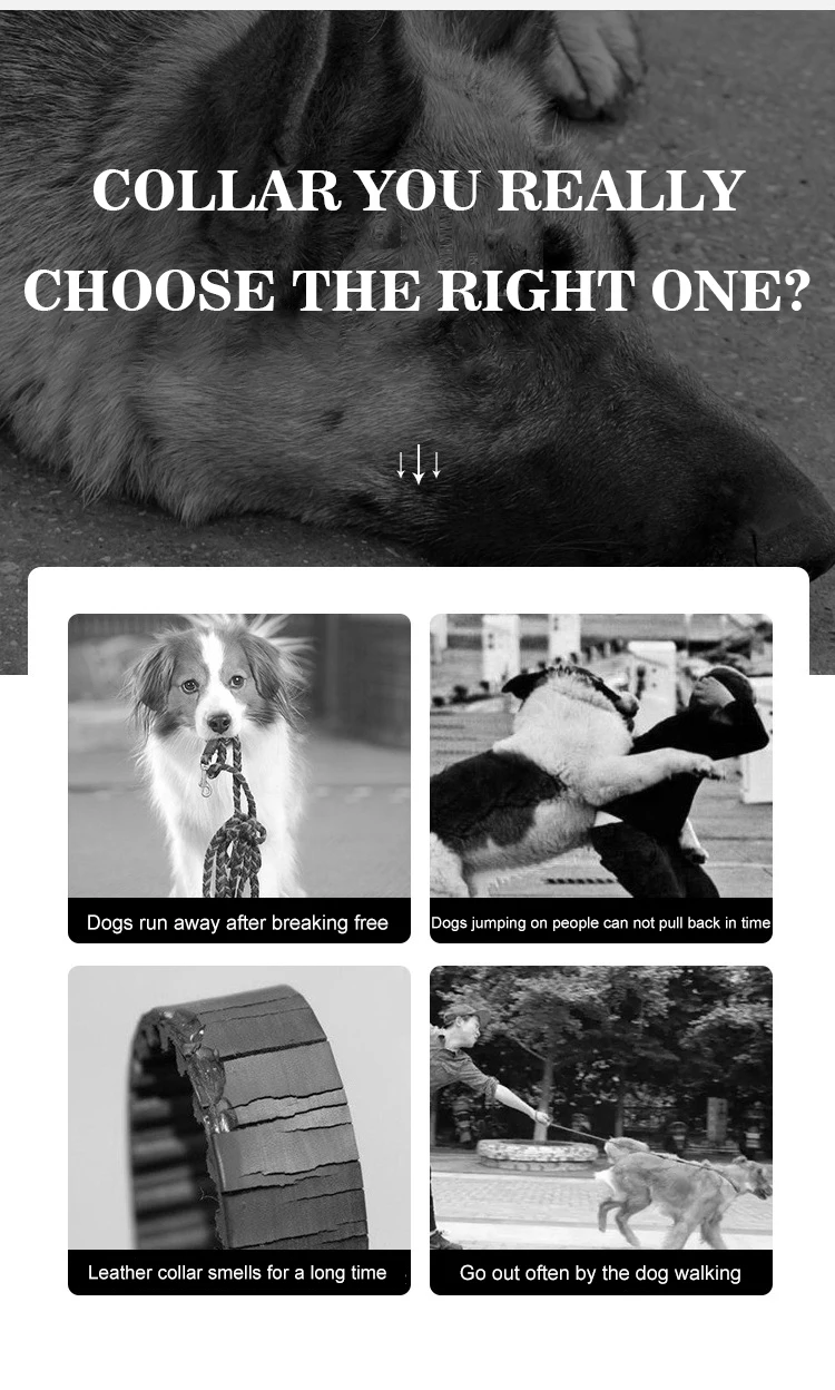 High Quality Heavy Duty Metal Buckle Pet Dog Training Collar Large Dogs Collar And Leash Set