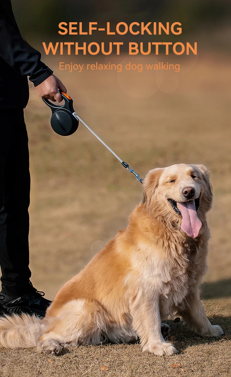 5 Meters Long Leash Walking Dog Rope Out Automatic Retractable Large Dog Anti-blast Dog Chain factory