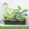 hc-Y80-25 es adecuado para jardineras de 80 cm.