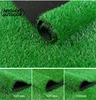 Spring grass