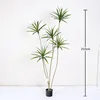 Second-generation Thousand-Year Wood, 210cm (5 pieces)
