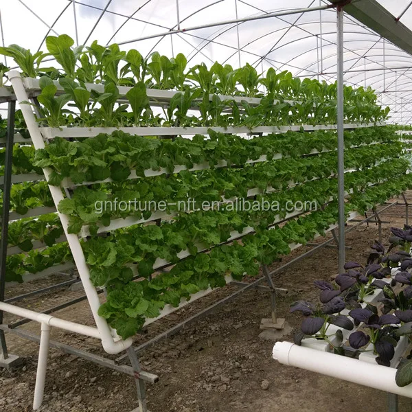 budget hydroponic systems