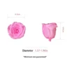 Luce cerise