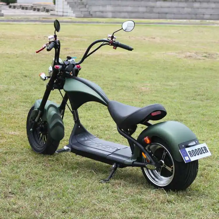 Mangosteen Wholesale Electric Chopper Motorcycle M1P - Mangosteen