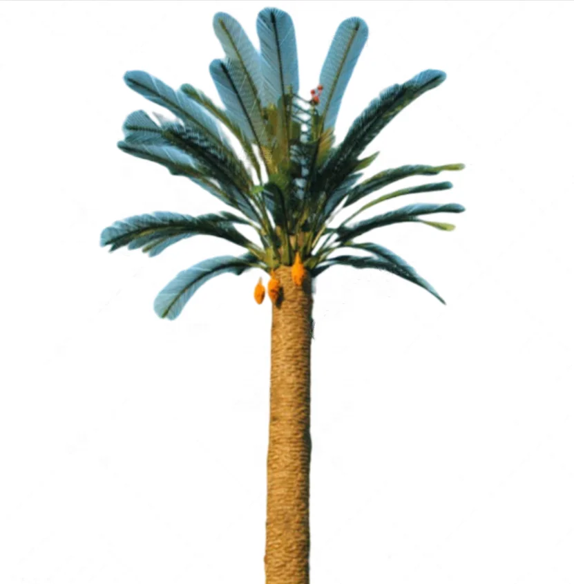 product-1-1 product-1-1