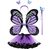 morado 8