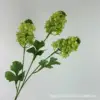 สีเขียว