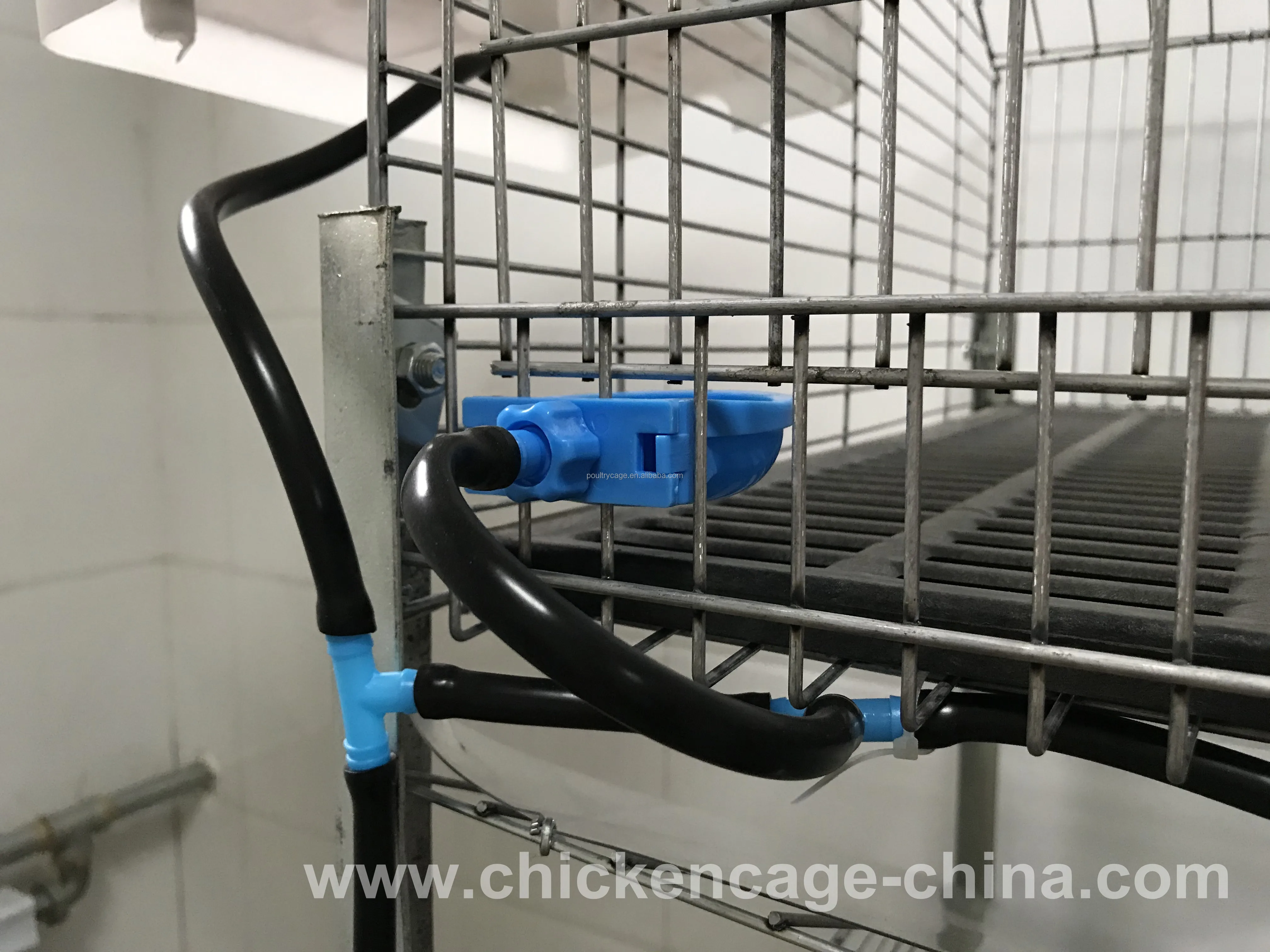 Tier Female / Breeding / Meat / Industrial Rabbit Cages For Sale (made ...