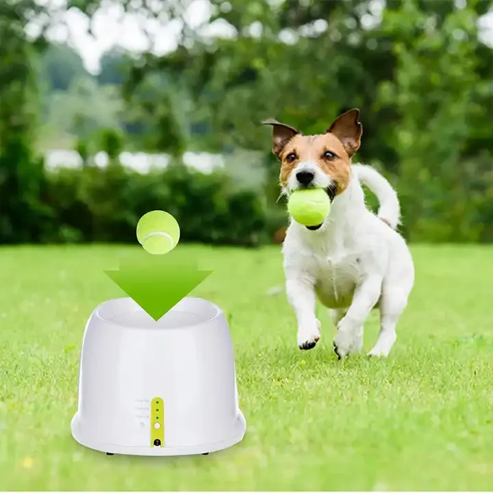 best cat litter box ever made Best Automatic Litter Box