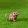 Puppy number