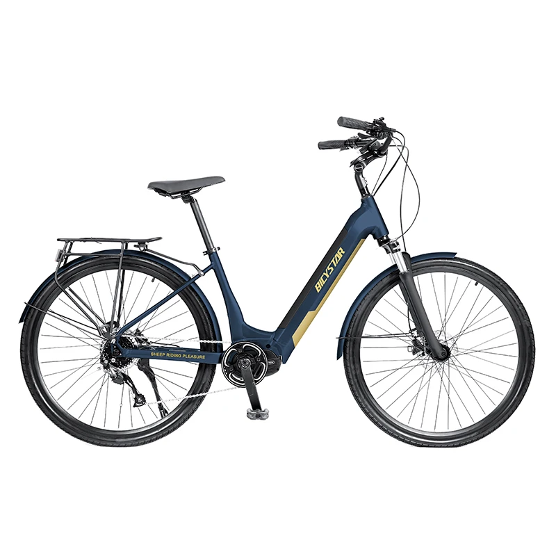 Bicicletta elettrica in alluminio lady ebike 24 pollici bici