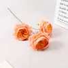 Rosa carne