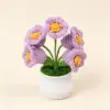 Lys violet clair (5 têtes) petite plante en pot